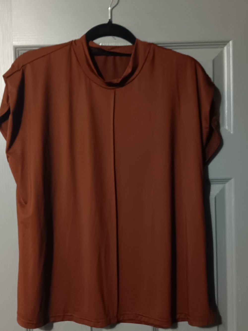 Rust Brown Women’s Short-Sleeve Mock Neck Top
